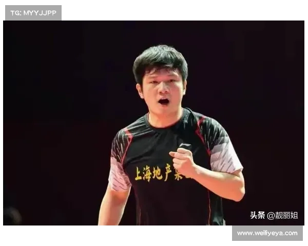 暴力熊猫七战全胜!樊振东王者归来续写传奇 暴力熊猫七战全胜!樊振东王者归来续写传奇